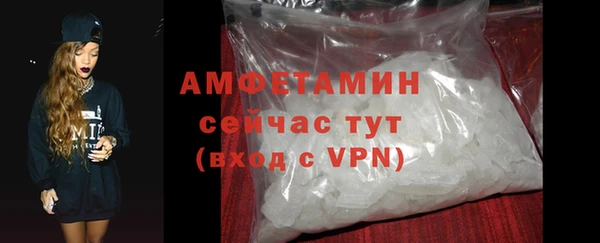 ГАЛЛЮЦИНОГЕННЫЕ ГРИБЫ Вяземский