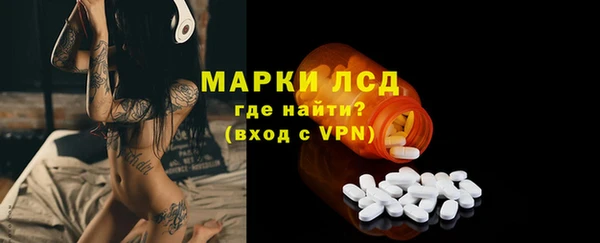 ГАЛЛЮЦИНОГЕННЫЕ ГРИБЫ Вяземский