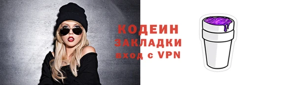 ГАЛЛЮЦИНОГЕННЫЕ ГРИБЫ Вяземский