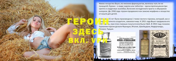 ГАЛЛЮЦИНОГЕННЫЕ ГРИБЫ Вяземский