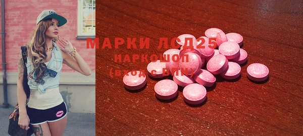 ГАЛЛЮЦИНОГЕННЫЕ ГРИБЫ Вяземский