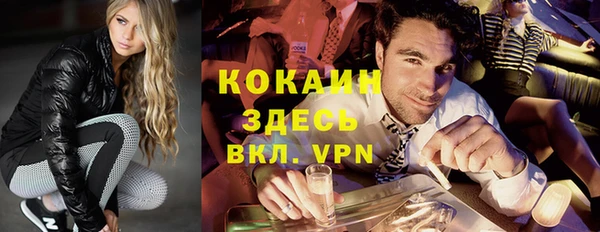 ГАЛЛЮЦИНОГЕННЫЕ ГРИБЫ Вяземский