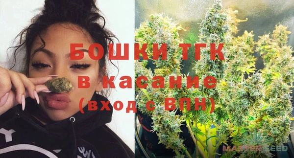 ГАЛЛЮЦИНОГЕННЫЕ ГРИБЫ Вяземский
