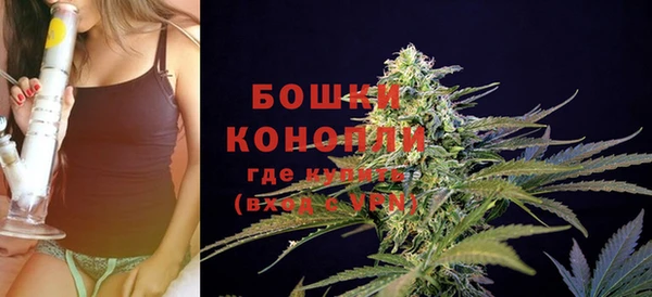 ГАЛЛЮЦИНОГЕННЫЕ ГРИБЫ Вяземский