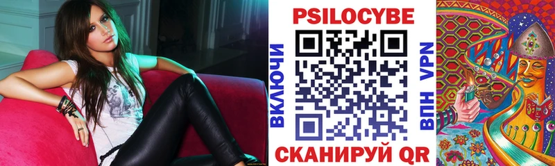 Псилоцибиновые грибы Cubensis  сколько стоит  Муром 